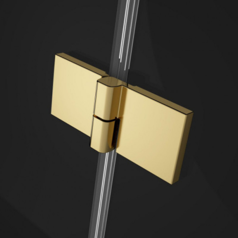 Душова кабіна Radaway Essenza Pro Gold KDJ+S 1200х2000 L 10097312-09-01L