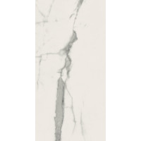 Плитка керамогранитная Panaria Eternity Statuario white 300X600Х9.5мм гладкая/глянцевая PGVEN25