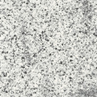 Плитка керамогранитная FMG Neo granito Kristal 600x600х10мм структурная/матовая B66644