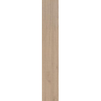 Плитка керамогранитная Dado Ceramica Sierra Rovere 200x1220х9,5мм гладкая/матовая R03856