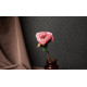Плитка керамогранитная Iris Ceramica Victorian stone Baycliff Black 600х1200х8 мм гладкая/матовая 8929990