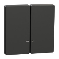 Накладка 2-клавишного выключателя с подсветкой Schneider SysD антрацит MEG3420-6034