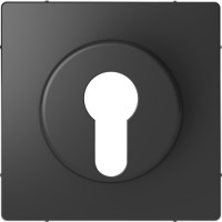 Накладка переключателя фикс пол Schneider SysD aнтрацит MEG3886-6034