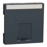 Накладка пылезащитная с полем для надписи 1хRJ45 Schneider SysM aнтрац MEG4573-0414