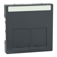 Накладка с пылезащитными шторками 2хRJ45 Schneider SysM aнтрацит MTN466514