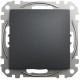 Выключатель Schneider Sedna Design & Elements 1-клавишный черный SDD114101