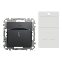 Выключатель карточный Schneider Sedna Design & Elements 10А черный SDD114121