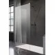 Душевая перегородка RADAWAY Modo New II 700*2000 389074-01-01