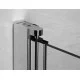 Душевые двери RADAWAY EOS DWS 120L 1200*1970 37992-01-01NL